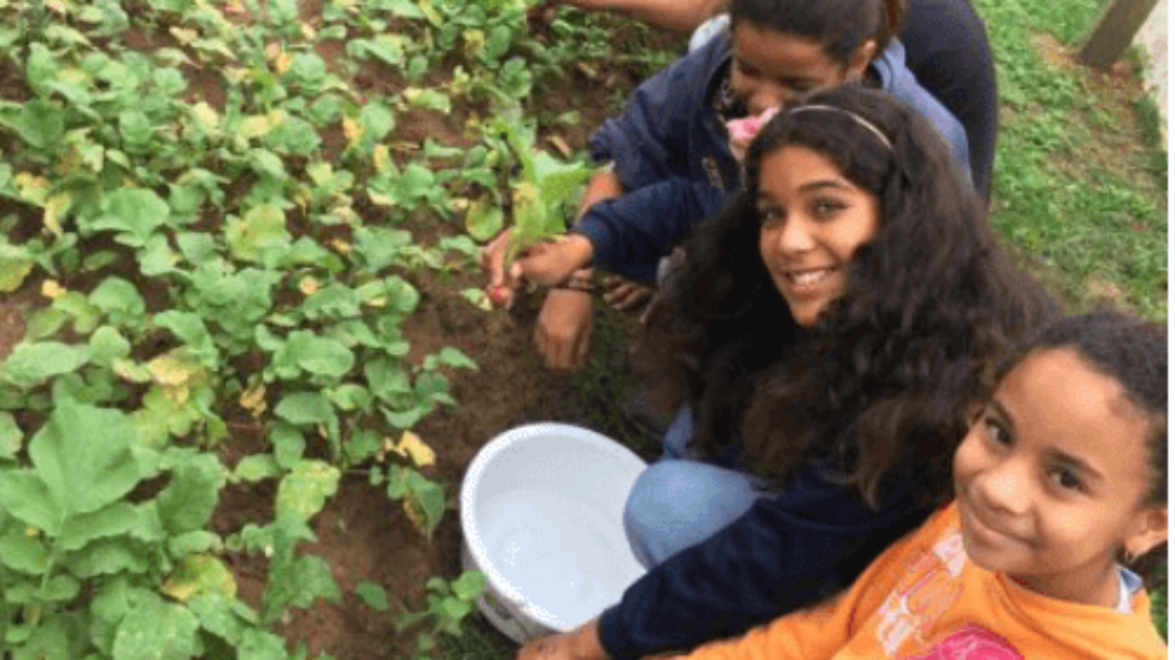 escola jose goncalves